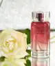 Karl Lagerfeld - Women Fleur de Mûrier Eau de Parfum