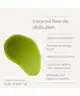 KIKI Health - Liquid Chlorophyll