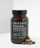 KIKI Health - Organic Chaga Mushroom Extract
