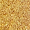 KIMC0067F