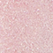 KIMC0084F