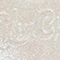 KIMC0134F