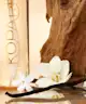 Kopari Beauty - Seychelles Sands Hair & Body Mist