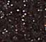 LETH0047F