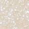 LETH0082F