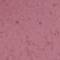 LETH0097F