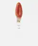 LORAC - LUX Diamond Lip Gloss