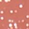 MACC0273F