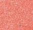 MACC0694F