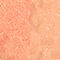MELT0141F