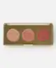 Milani - Rose Blush Trio Palette Flowers of Love