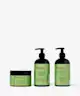 Mielle Organics - Herbal Haircare Heroes