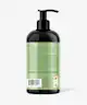 Mielle Organics - Rosemary Mint Strengthening Conditioner