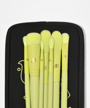 Full Brush Collection With Pouch