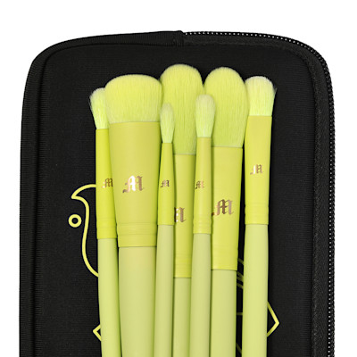 Full Brush Collection With Pouch