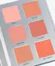 Made By Mitchell - Blursh Book Press'd Blusher Palette
