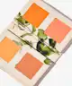 Made By Mitchell - Mini Blursh Book Grow Your Peach