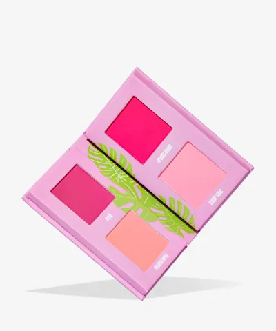Made By Mitchell - Mini Blursh Book Living in Pink