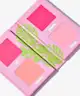 Made By Mitchell - Mini Blursh Book Living in Pink