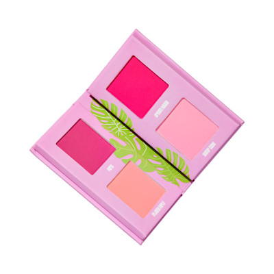 Made By Mitchell Mini Blursh Book Living in Pink