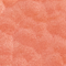NABL0236F