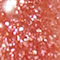 NABL0277F