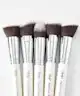 Nanshy - Gobsmack Glamorous 5 Piece Brush Collection