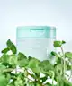 Numbuzin - No.1 Centella Re-Leaf Green Toner Pad