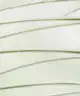 Numbuzin - No.1 Clear Filter Sun Essence