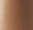 NUST0079F