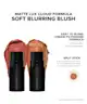 NUDESTIX - The Glamzilla Dirty 30 Blush Kit