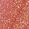 OFRA0499F