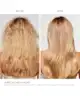 OLAPLEX - Daily Essentials Duo