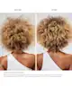 OLAPLEX - Hello Healthy Hair Starter Kit