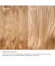 OLAPLEX - The Mini Essentials Set 