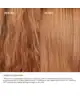 OLAPLEX - The Mini Essentials Set