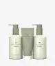 Origins - GINGER Body Essentials Gift Set