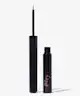 Pley Beauty - Liquid Asset Foolproof Liquid Eyeliner