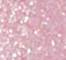 PLEY0044F