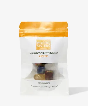 psychicsisters Success Crystal Set Bags