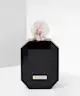 Makeup Revolution - Revolutionary Noir Eau de Toilette