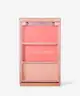 Makeup Revolution - Blush Icon Palette