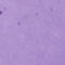 REHA0016F
