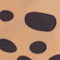 REHA0062F