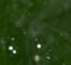 RESK0403F