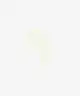 Revolution Skincare - Revolution Skin Sunray Blur Daily Protection Sunscreen SPF 50+ with Niacinamide