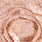 REVP0482F