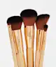 Revolution Pro - Rockstar Gold Edition Brush Set