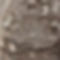 REXX0013F
