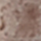 REXX0248F